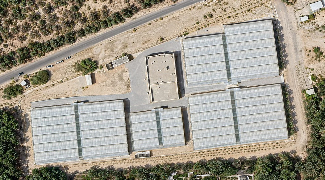 Diraz farm from the company profile